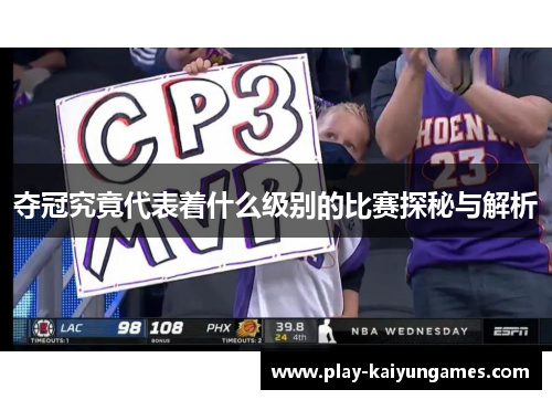 夺冠究竟代表着什么级别的比赛探秘与解析