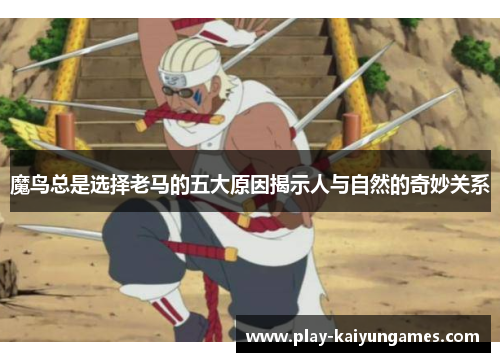 魔鸟总是选择老马的五大原因揭示人与自然的奇妙关系 魔鸟总是选择老马的五大原因揭示人与自然的奇妙关系